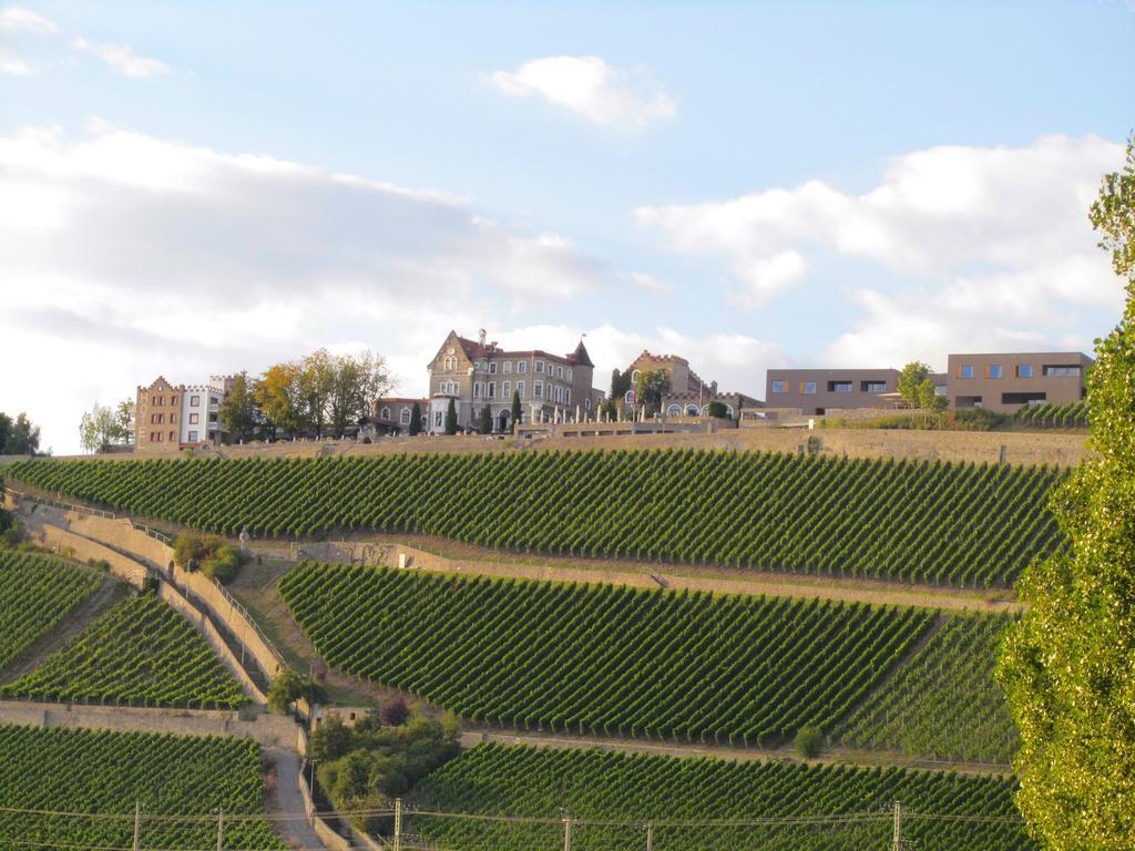 Schlosshotel Steinburg Würzburg Buitenkant foto