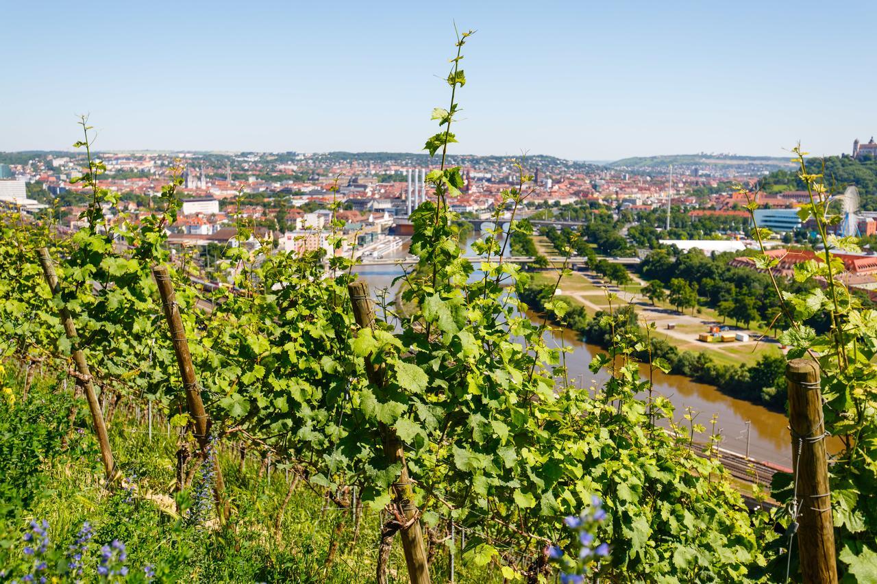 Schlosshotel Steinburg Würzburg Buitenkant foto